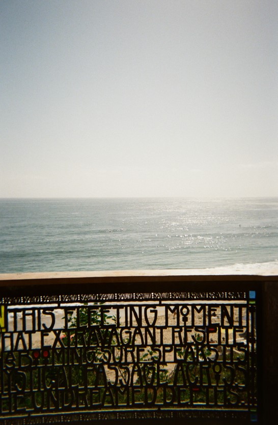 Laguna Beach Through My Eyes