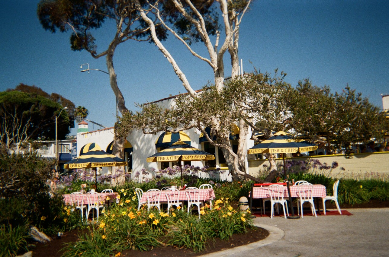 Laguna Beach Through My Eyes