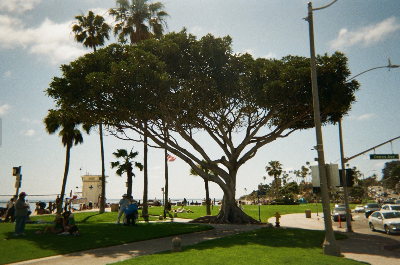 Laguna Beach Through My Eyes