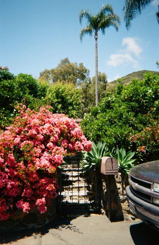 Laguna Beach Through My Eyes