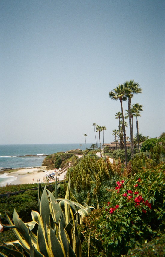 Laguna Beach Through My Eyes