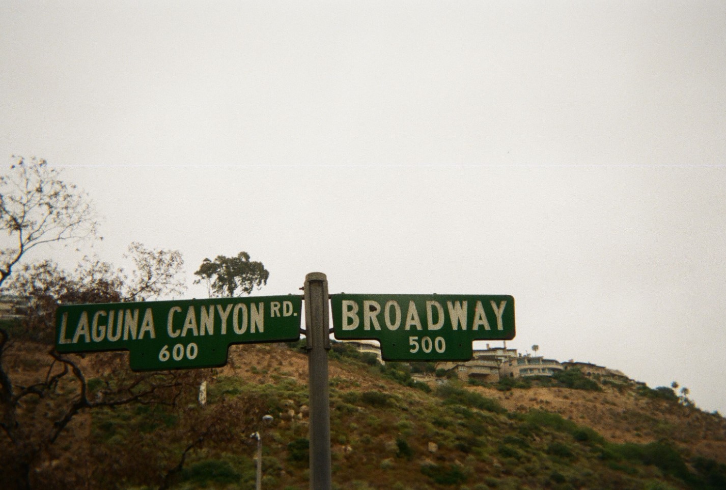 Laguna Beach Through My Eyes