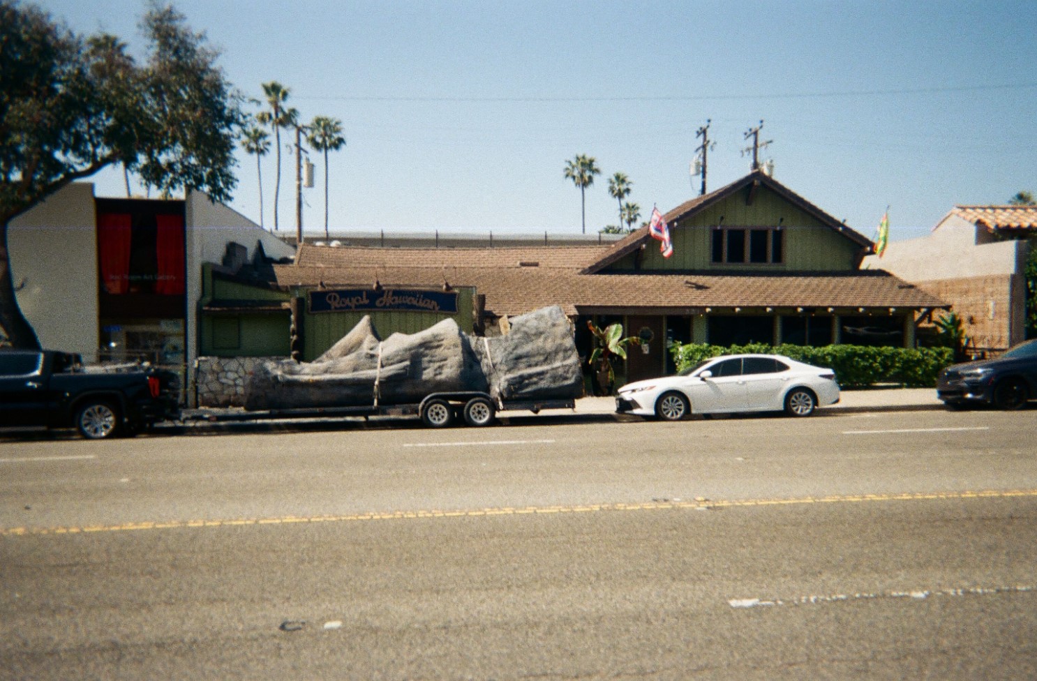 Laguna Beach Through My Eyes