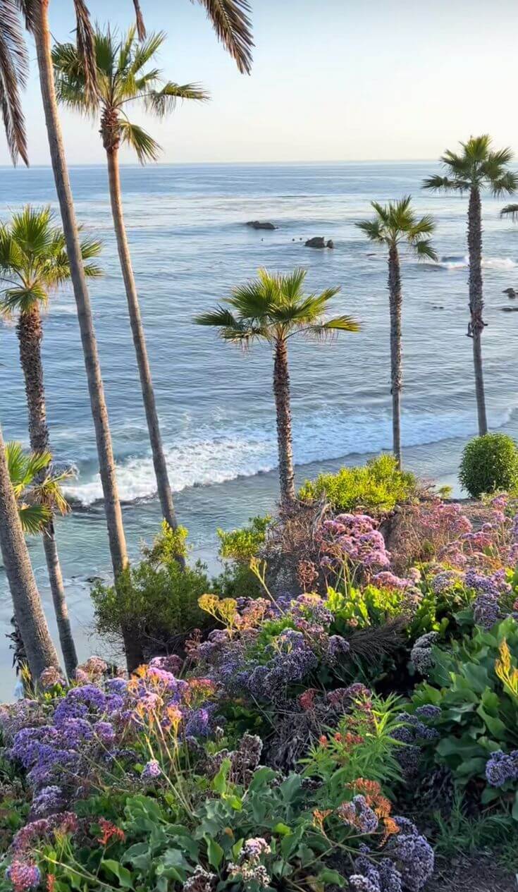 25 Things to Do in Laguna Beach in 2025: A Guide to California's Coastal Gem